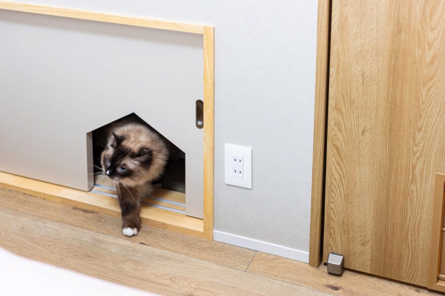 戸建のリノベーション事例