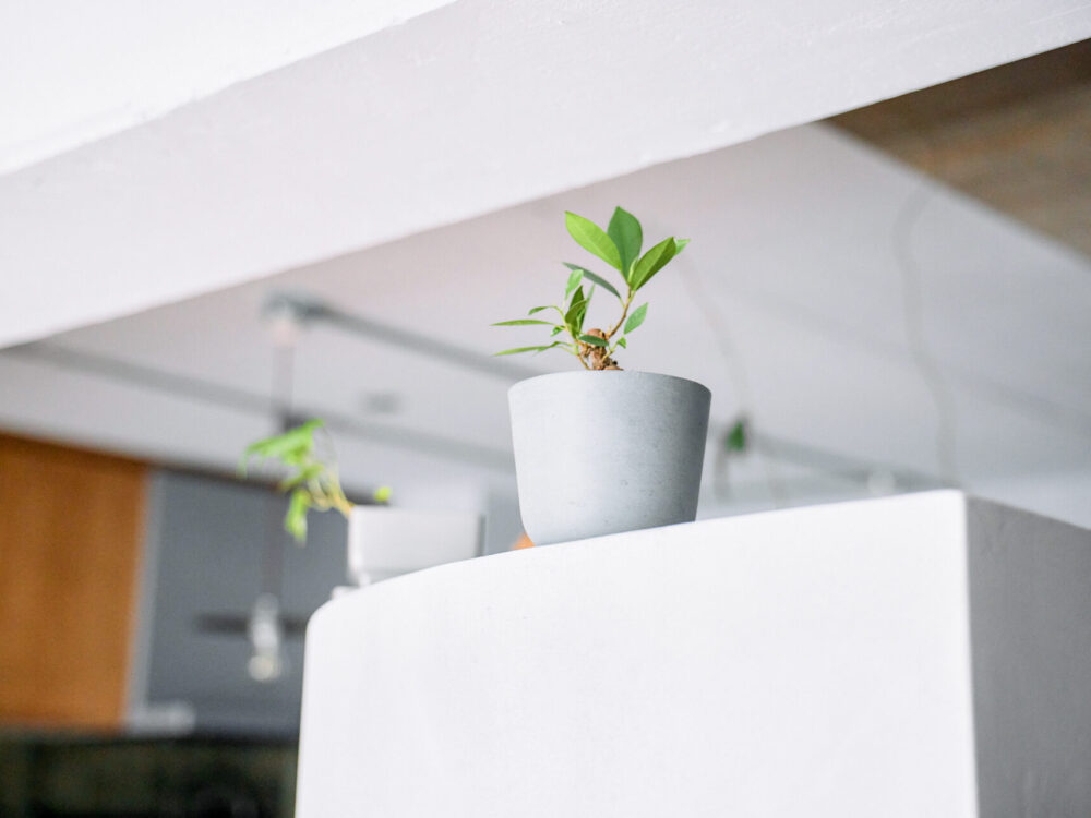 <60㎡>光と風に遊ばれる、自然素材のやさしい住まい【大阪府狭山市】